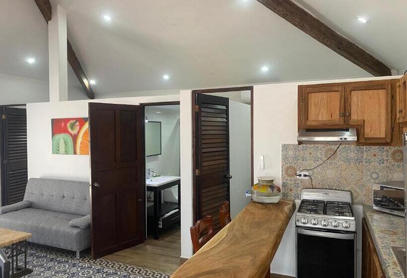 آپارتمان 2 خوابه, Villa Serena Centro Historico