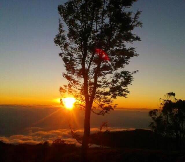 اتاق استاندارد با چشم‌انداز کوهستان, Belview Guest House