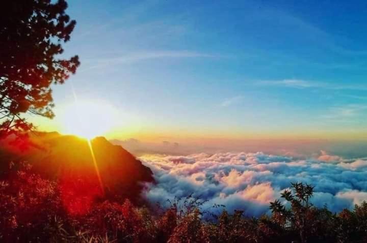 اتاق استاندارد با چشم‌انداز کوهستان, Belview Guest House