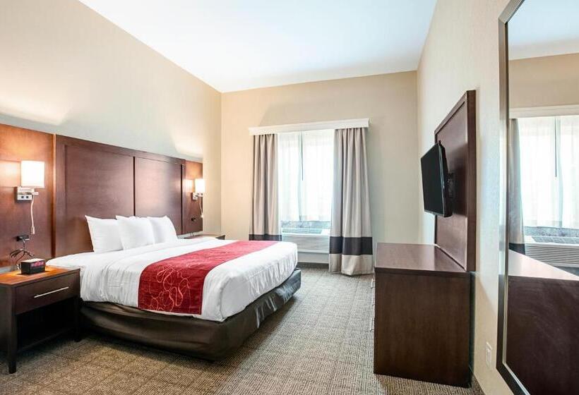 اتاق استاندارد با تخت بزرگ, Comfort Suites Fishkill Near Interstate 84