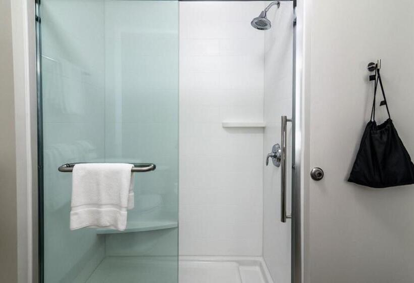 سوییت, Holiday Inn Express & Suites Allen Park, An Ihg