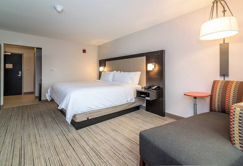 اتاق استاندارد, Holiday Inn Express & Suites Allen Park, An Ihg