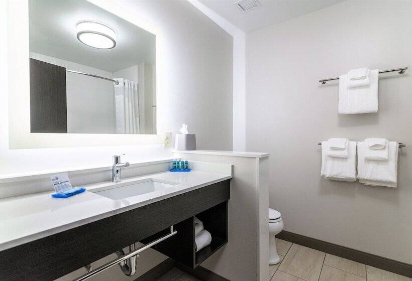 اتاق استاندارد, Holiday Inn Express & Suites Allen Park, An Ihg