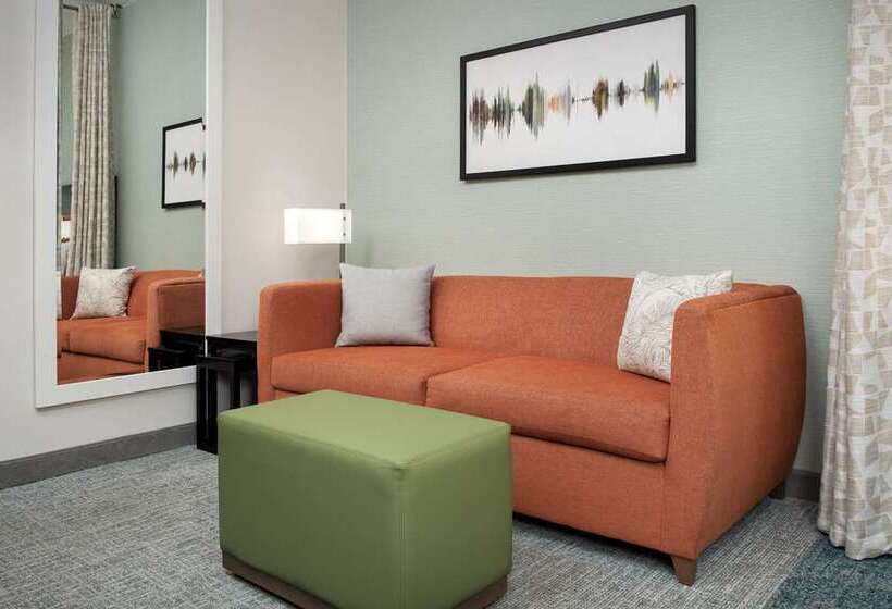 استودیوی استاندارد, Home2 Suites By Hilton Mckinney