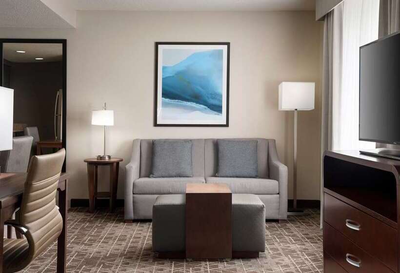 استودیوی پریمیوم, Home2 Suites By Hilton Mckinney
