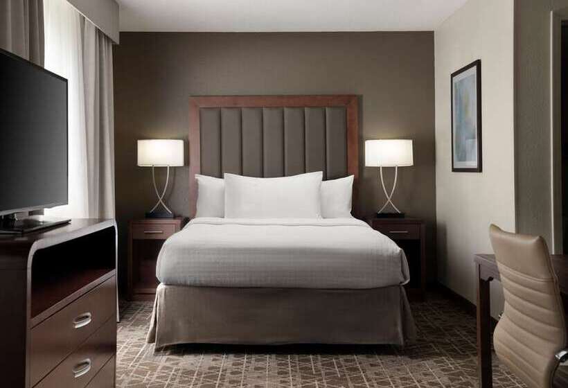 استودیوی پریمیوم, Home2 Suites By Hilton Mckinney