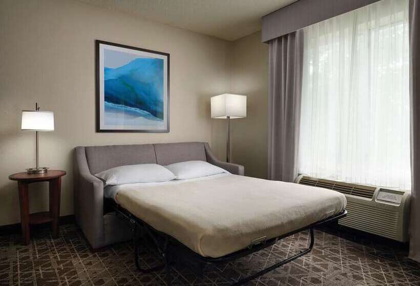 استودیوی پریمیوم, Home2 Suites By Hilton Mckinney