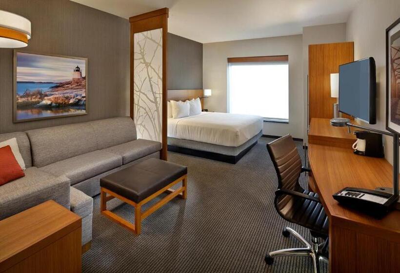 اتاق استاندارد با تخت بزرگ, Hyatt Place Warwick/providence Airport