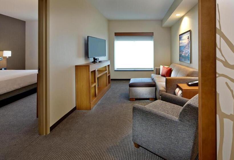 سوئیت با تخت بزرگ, Hyatt Place Warwick/providence Airport