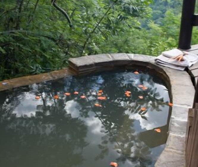 کلبه ییلاقی دلوکس یک خوابه, Tanamera Lodge