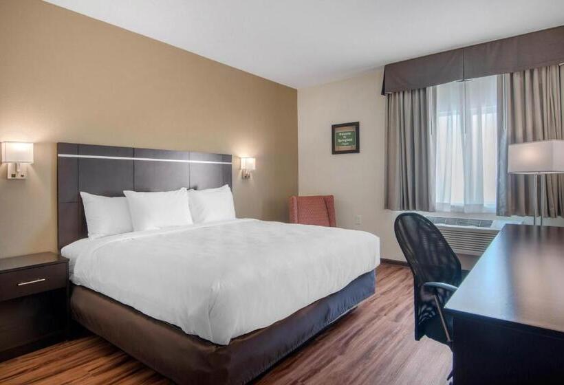 اتاق استاندارد با تخت بزرگ, Econo Lodge Inn & Suites