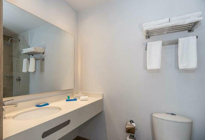 اتاق استاندارد با تخت بزرگ برای معلولان, Holiday Inn Express Cartagena Manga, An Ihg