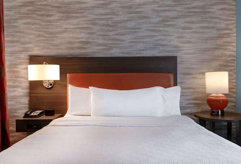 استودیوی استاندارد, Home2 Suites By Hilton Carbondale