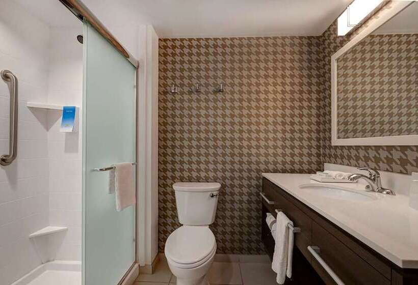 استودیوی استاندارد, Home2 Suites By Hilton Carbondale