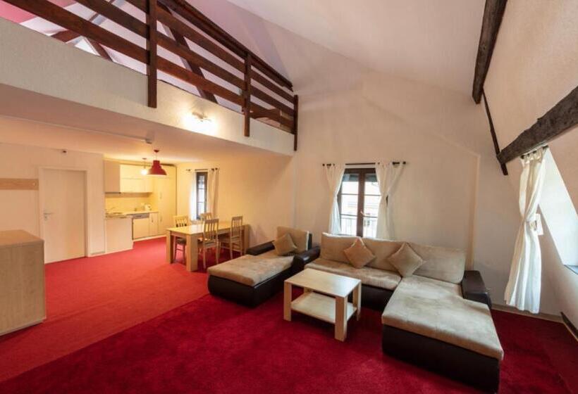 آپارتمان لوکس 1 خوابه, Hostellerie De L Hôtel De Ville