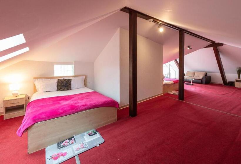 آپارتمان لوکس 1 خوابه, Hostellerie De L Hôtel De Ville
