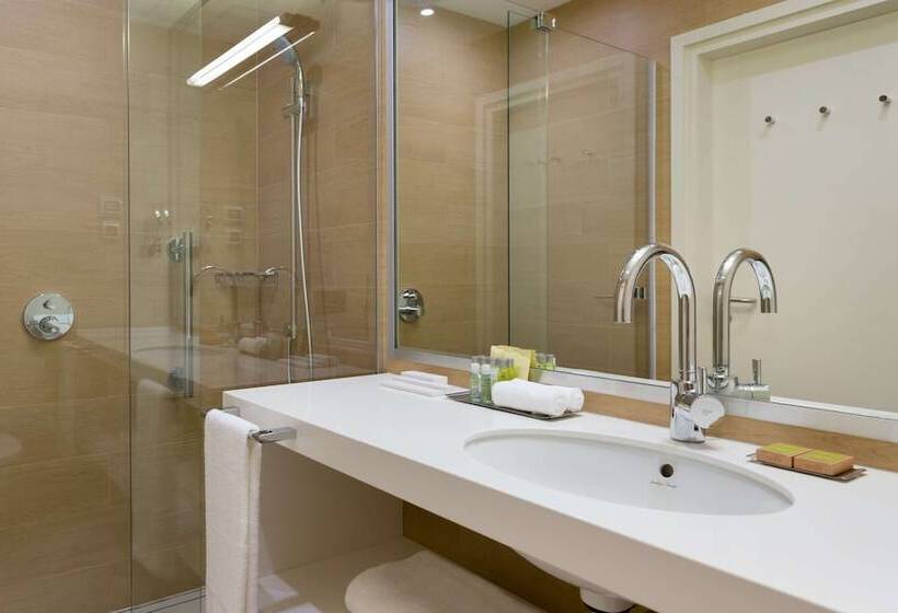 带特大床的标准间, Doubletree By Hilton Moscow Vnukovo Airport