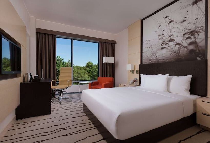 带特大床的标准间, Doubletree By Hilton Moscow Vnukovo Airport