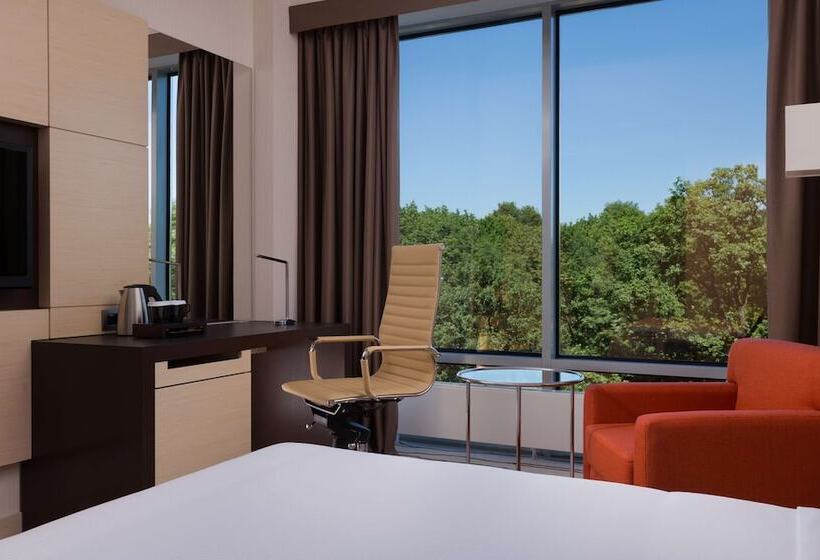 带特大床的标准间, Doubletree By Hilton Moscow Vnukovo Airport