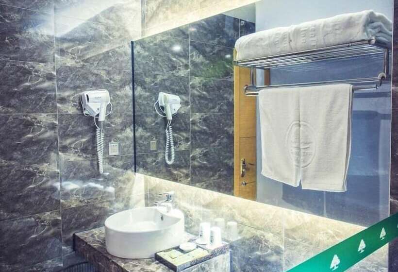 سوییت, Greentree Inn Shantou Jinping District Leshan Road