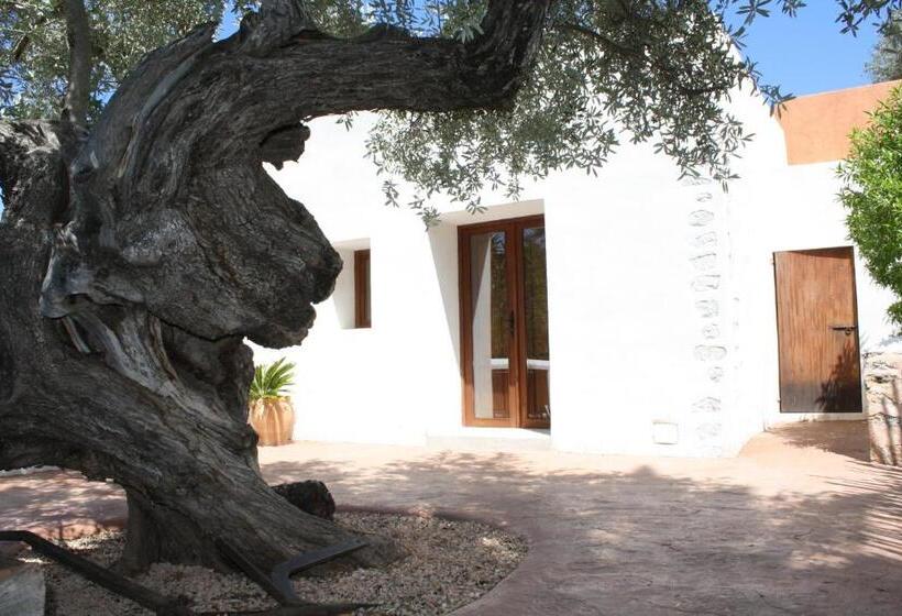 سوییت, Agroturismo Can Pere Sord
