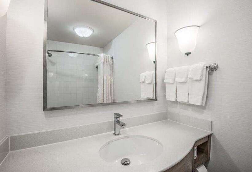 اتاق لوکس با تخت بزرگ, Hilton Garden Inn Jackson/clinton
