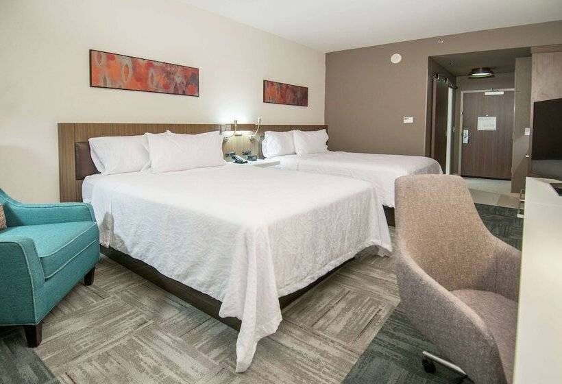 اتاق استاندارد با 2 تخت دوبل, Hilton Garden Inn Jackson/clinton