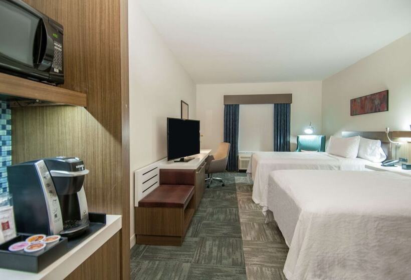 اتاق استاندارد با 2 تخت دوبل, Hilton Garden Inn Jackson/clinton
