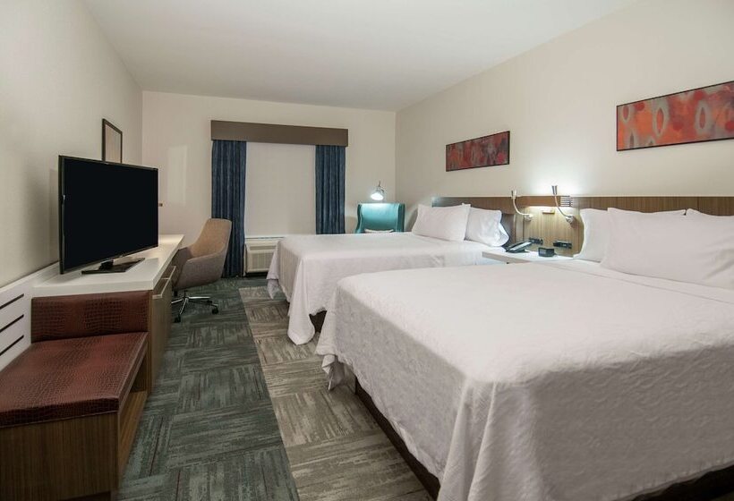 اتاق استاندارد با 2 تخت دوبل, Hilton Garden Inn Jackson/clinton