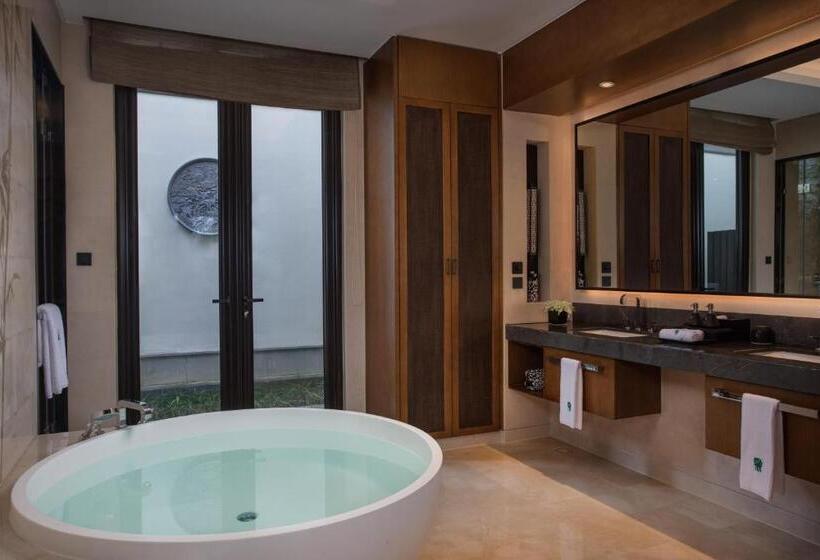ویلای 1 خوابه, Banyan Tree Anji