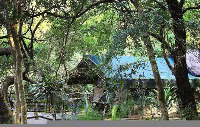 چادر با خدمات رفاهی لوکس, Phophonyane Falls Ecolodge