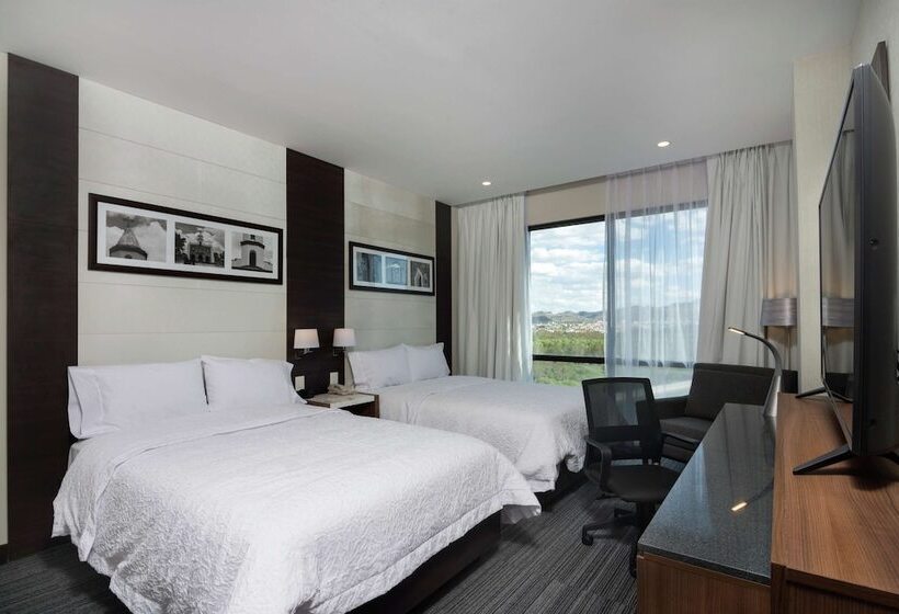 اتاق استاندارد با 2 تخت دوبل, Hampton Inn San Luis Potosi