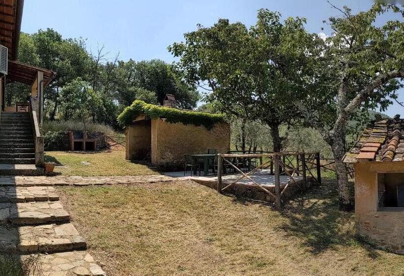 ویلای سوپریور 1 خوابه, Petrolo