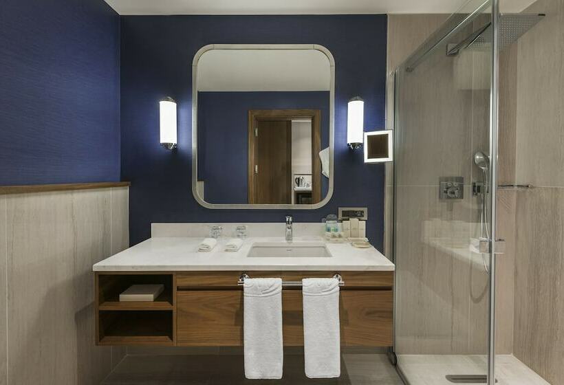 اتاق لوکس با تخت بزرگ, Elite World Grand Istanbul Kucukyali