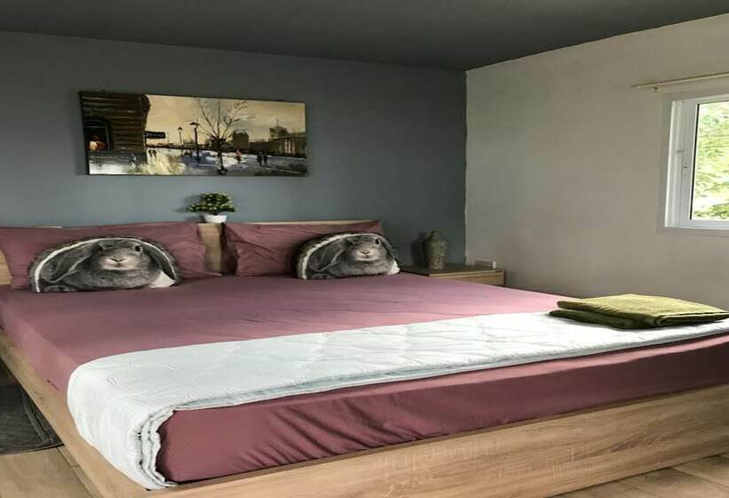 اتاق استاندارد با چشم‌انداز دریا, Mr.yong Tour & Homestay