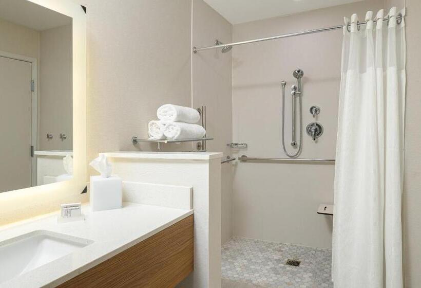 اتاق استاندارد با تخت بزرگ, Fairfield Inn & Suites By Marriott Salina