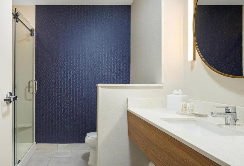 اتاق استاندارد با تخت بزرگ, Fairfield Inn & Suites By Marriott Salina