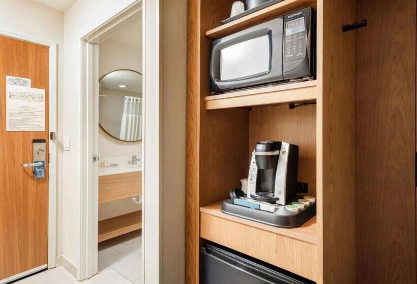 اتاق استاندارد, Fairfield Inn & Suites By Marriott Salina