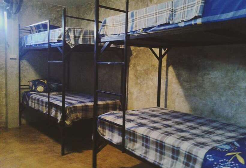 共用房间的床, Happy House Backpacker   Hostel