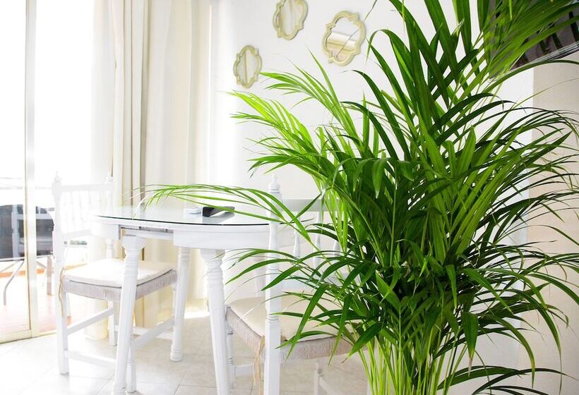 استودیوی استاندارد, Apartamentos Apal Chinasol