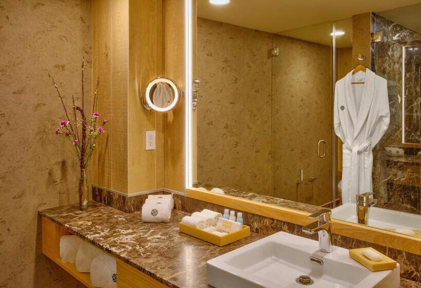 سوییت, Galeria Plaza Irapuato