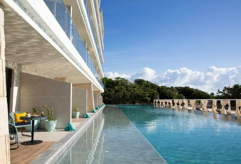 سوئیت با تخت بزرگ, Palmaïa The House Of Aïa All Inclusive Wellness Resort