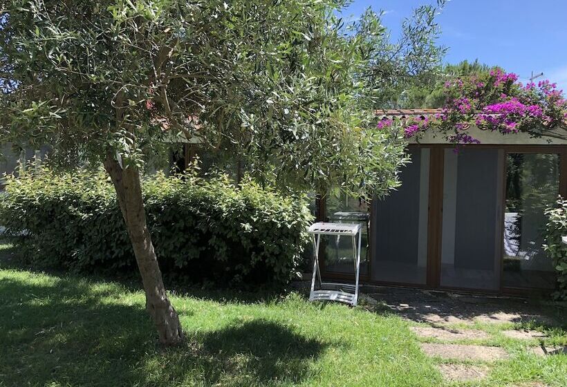 آپارتمان 1 خوابه با چشم‌انداز باغ, Residence Sa Pintadera