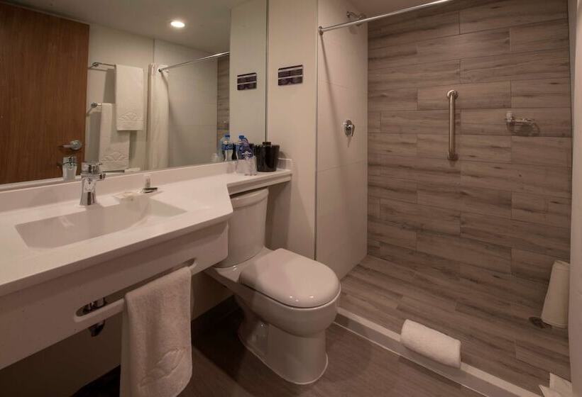 اتاق استاندارد با 2 تخت دوبل, Microtel Inn & Suites By Wyndham San Luis Potosi