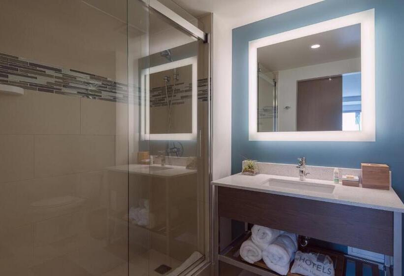 سوئیت با تخت بزرگ, Even Hotel Miami   Airport, An Ihg