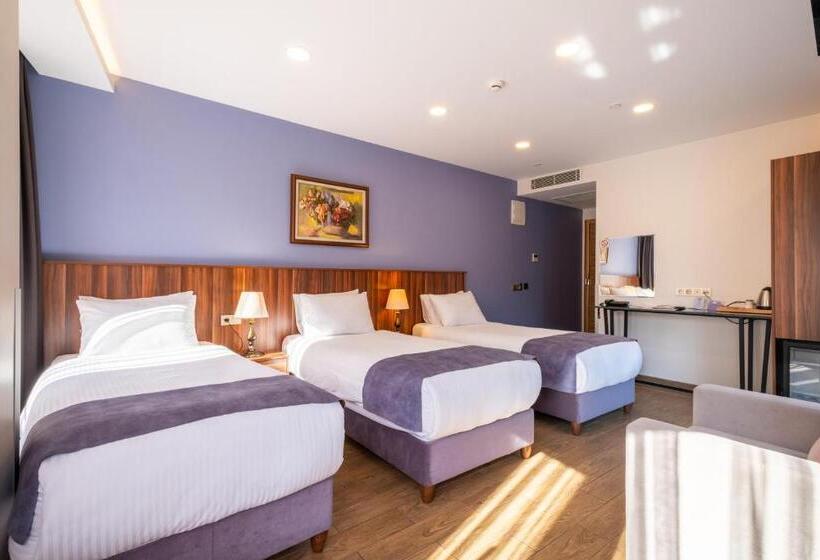 اتاق استاندارد سه نفره, La Wisteria Boutique Hotel Istanbul