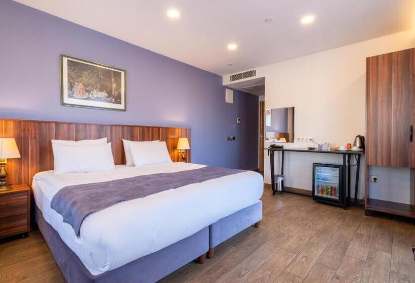 اتاق لوکس, La Wisteria Boutique Hotel Istanbul