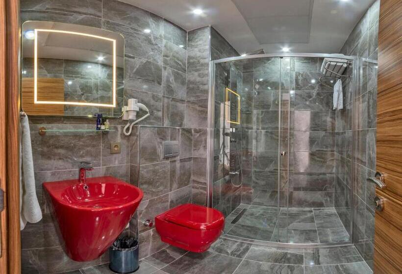 اتاق لوکس, La Wisteria Boutique Hotel Istanbul