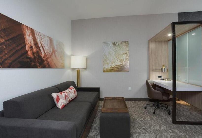 سوئیت با تخت بزرگ, Springhill Suites By Marriott Fort Lauderdale Miramar