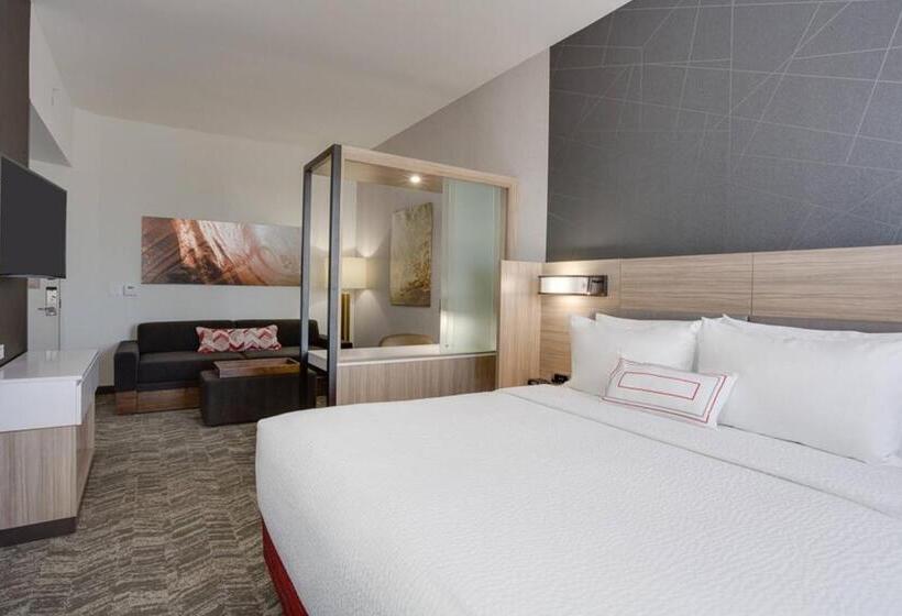 سوئیت با تخت بزرگ, Springhill Suites By Marriott Fort Lauderdale Miramar